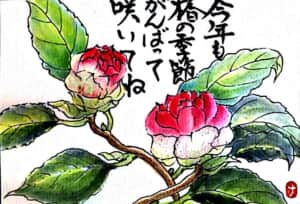 椿