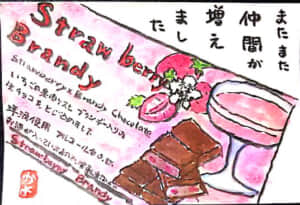 私の好きなチョコ🍫