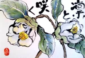 椿
