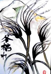 冬枯れのススキ