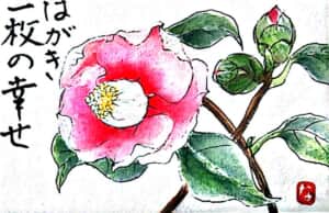 椿