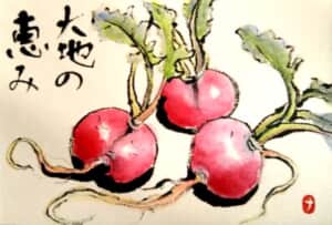 赤大根おろ抜き