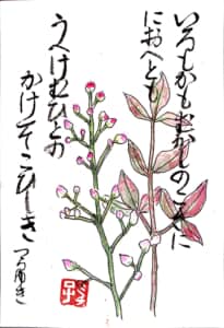 色も香も 昔の濃さに 匂へども 植へけむ人の影ぞへ恋しき 〜紀貫之〜