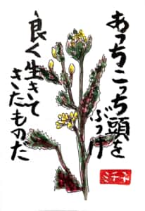 あっちこっち頭をぶつけ 良く生きてきたものだ 〜菜の花の絵手紙〜
