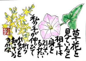 草花を見ていると相手は身を引いてるみたい 私の手が伸びて折られるのを知っているのかな