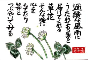 過酷な風雨にうたれても美を届けてくれる草花 そんな強い心をもてたら等とつぶやいてみる シロツメクサの花