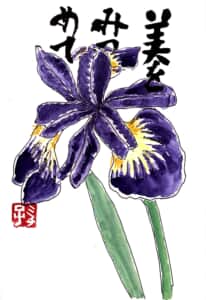美をみつめて 〜アイリスの花〜