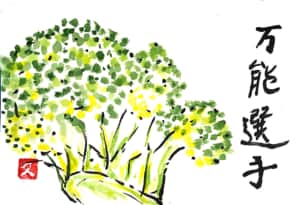 万能選手 ブロッコリー