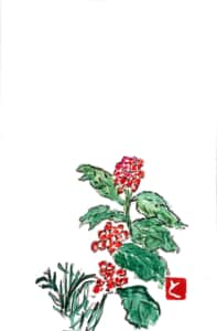 赤い花