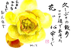 友人達への便り