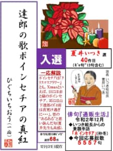 達郎の歌 ﾎﾟｲﾝｾﾁｱの真紅(あか)
