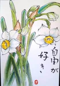 日本水仙