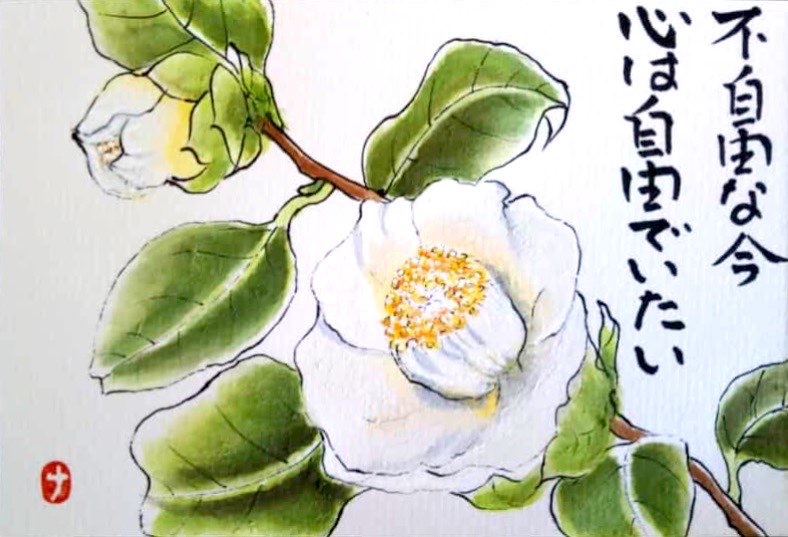 画家、辰本青花さんに描いて頂いた白椿の絵画 - その他