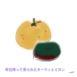 昨日もってこられたキウイとミカン