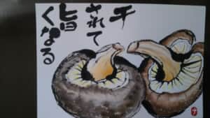 椎茸