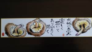椎茸