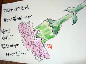 カーネーション