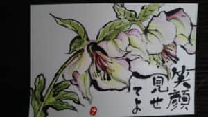 クリスマスローズ