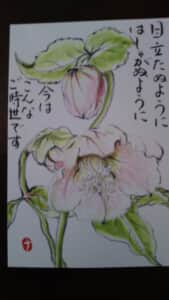 クリスマスローズ