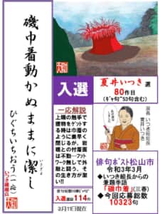 磯巾着動かぬままに潔し