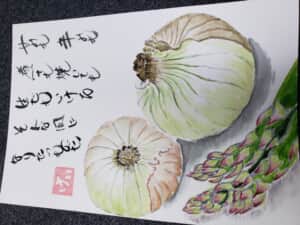 新玉ねぎがお店に並びました