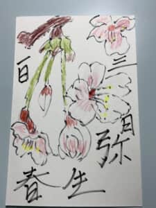 三月一日 弥生 春 桜の花の絵手紙