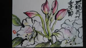 石楠花