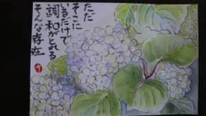 オオデマリ