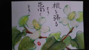 どくだみ