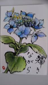 額紫陽花