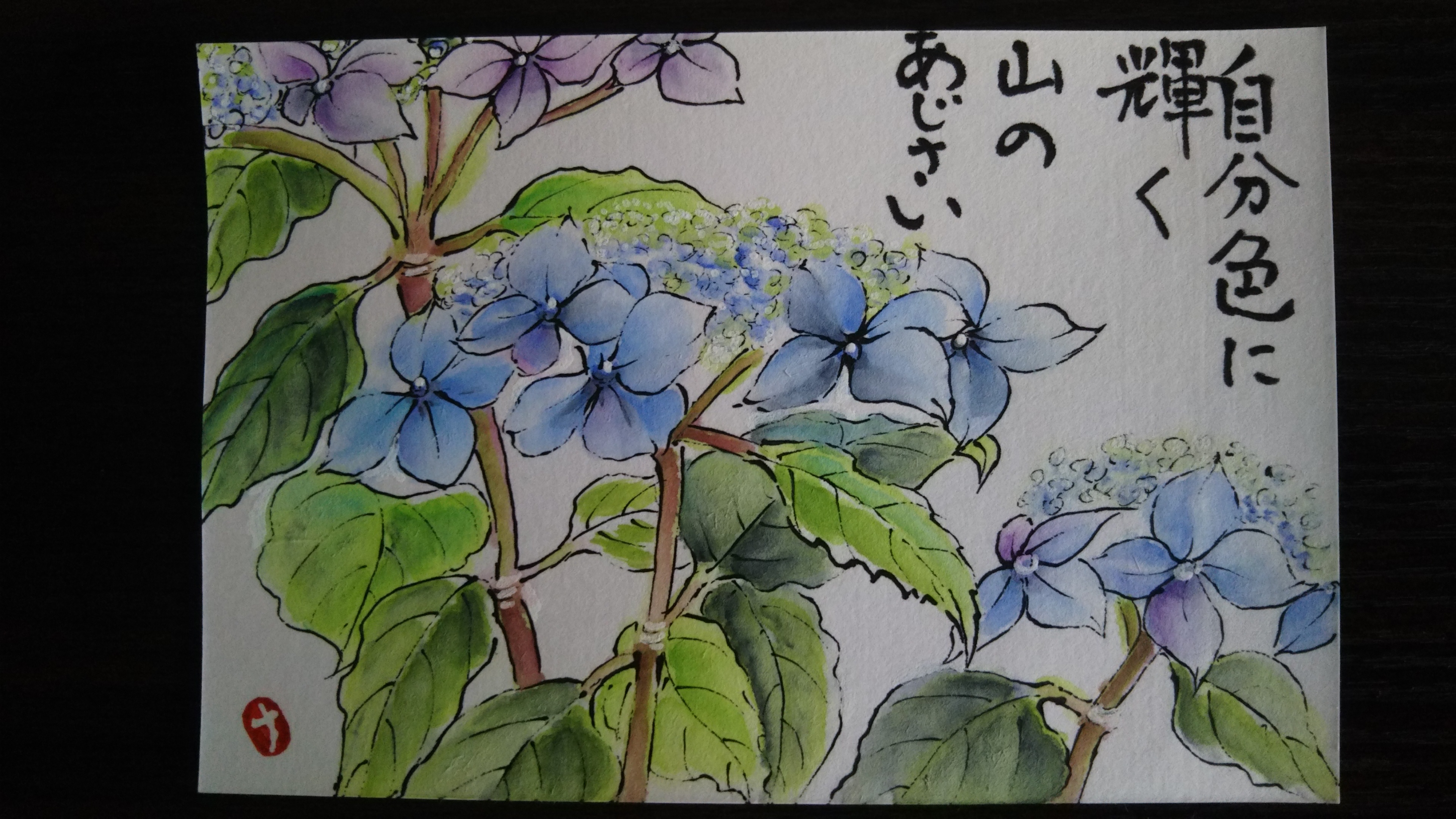 紫陽花