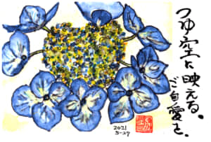 つゆ空に映える