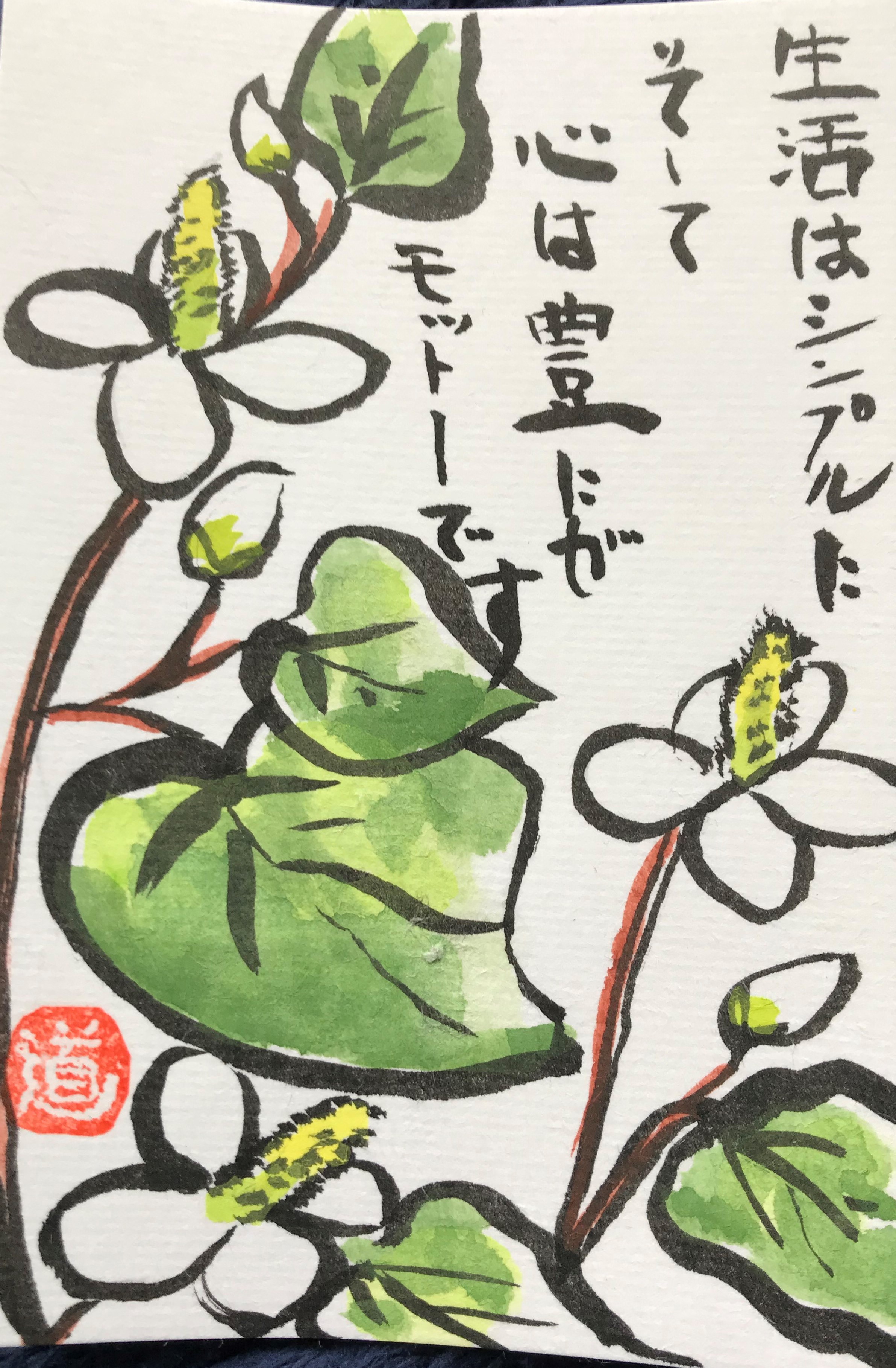 どくだみ草