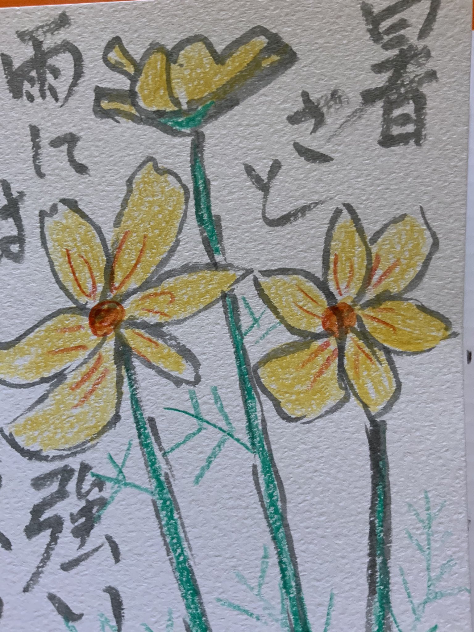 暑さと雨には強い黄色いコスモスの花の絵手紙