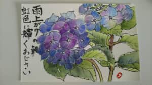 紫陽花