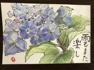 紫陽花