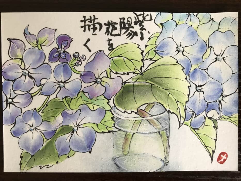 紫陽花