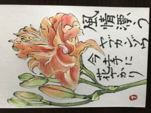 ヤブカンゾウ