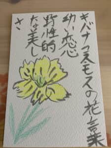 キバナコスモスの花言葉 幼い恋心 野生的な美しさ