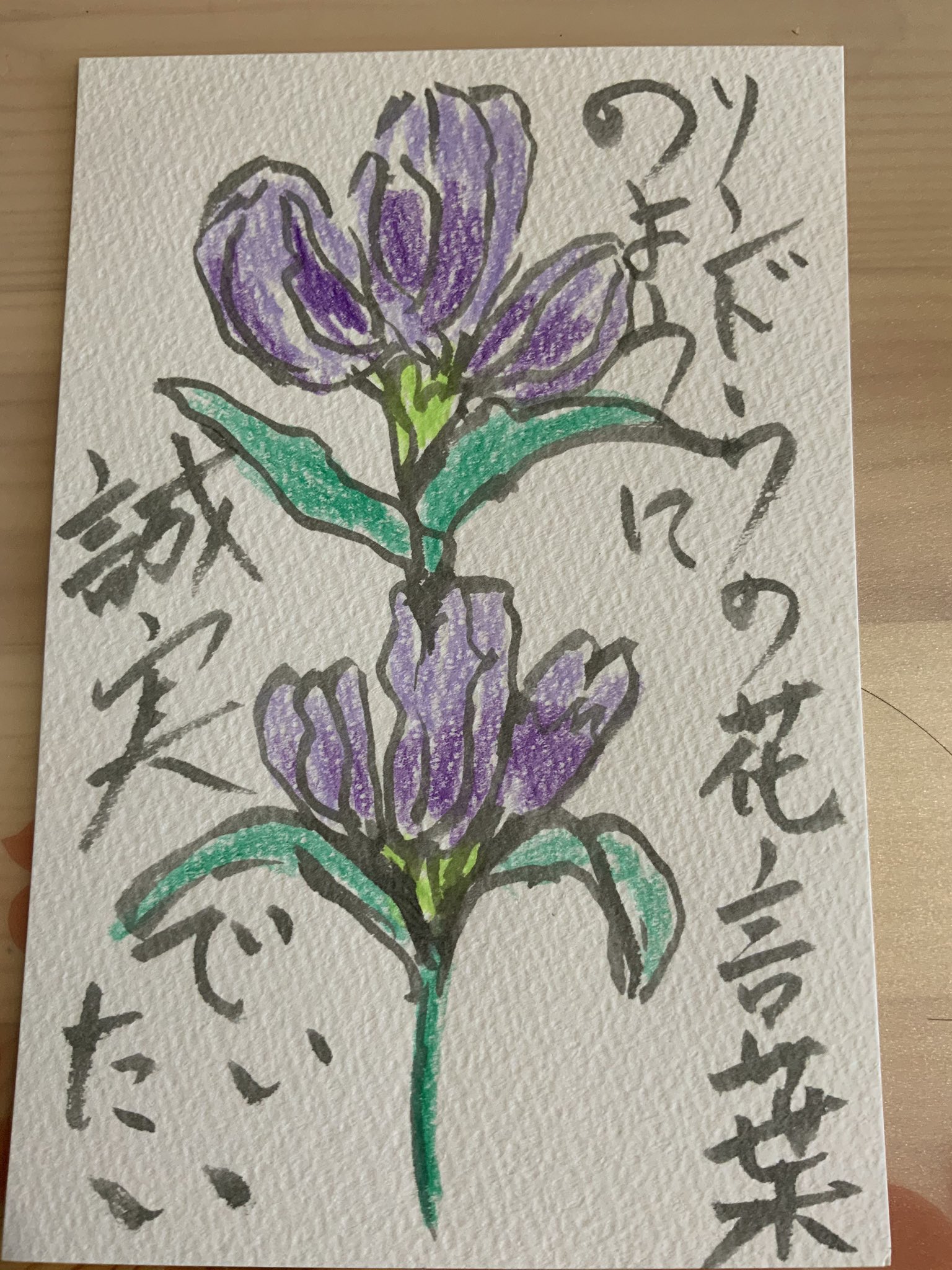 リンドウの花言葉のよう誠実でいたい