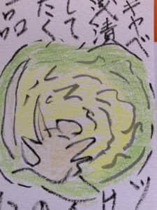 キャベツを浅漬けにして食卓の一品に