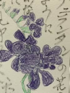 ランタンの花のように