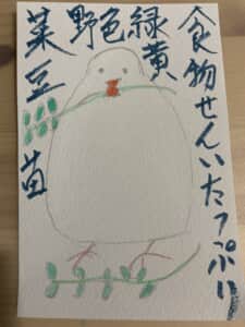食物繊維たっぷり 緑黄色野菜 豆苗