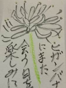 白い彼岸花にまた会う日を楽しみに