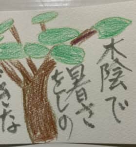 大きな木陰で暑さをしのぐ