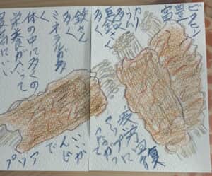 えのきの肉巻きの絵手紙