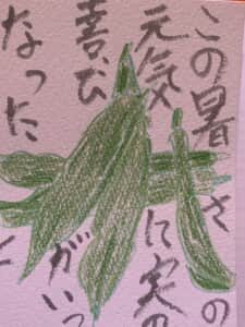 この暑さの中元気に実のなった喜び