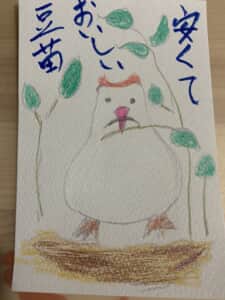 安くておいしい豆苗