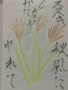 ススキ 秋風にゆれる