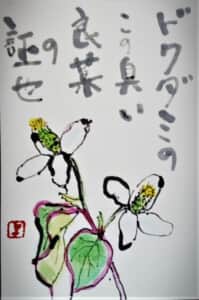 ドクダミシリーズ